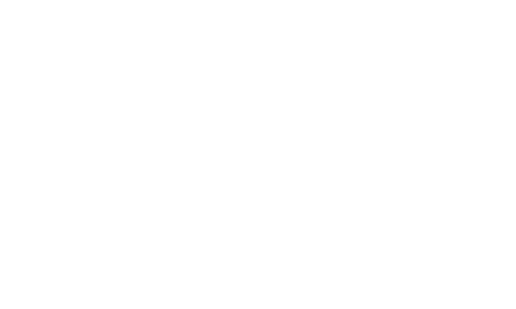 Seikkailupuisto Vire logo valkoinen